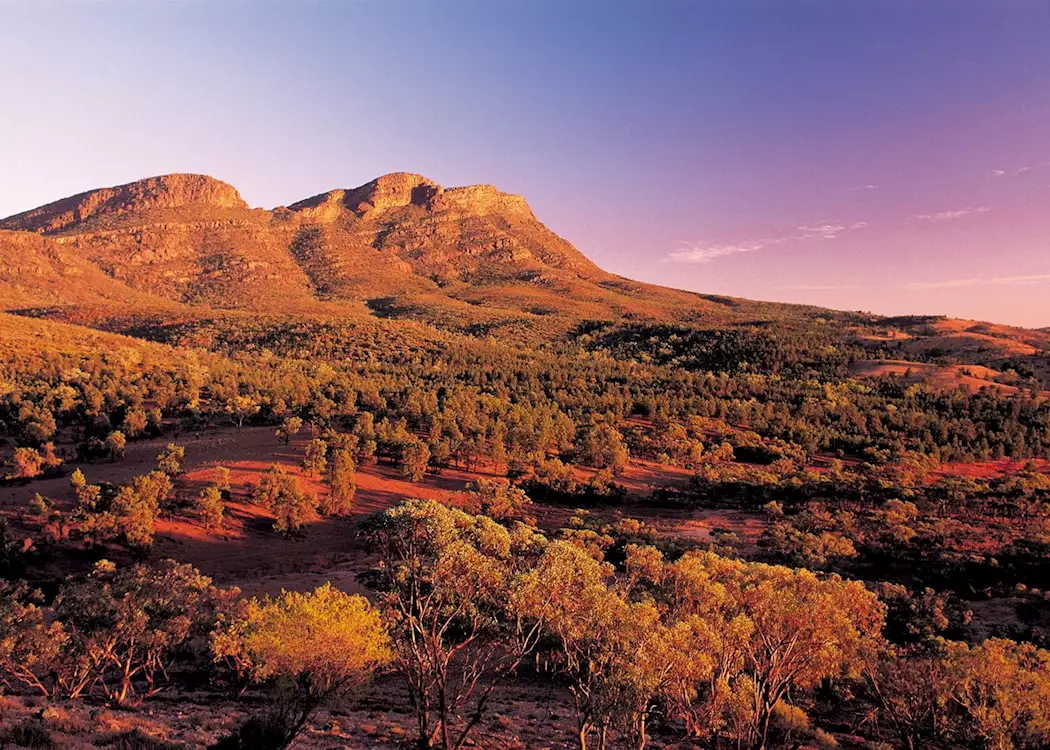 Wilpena Pound, Flinders Ranges, South Australia