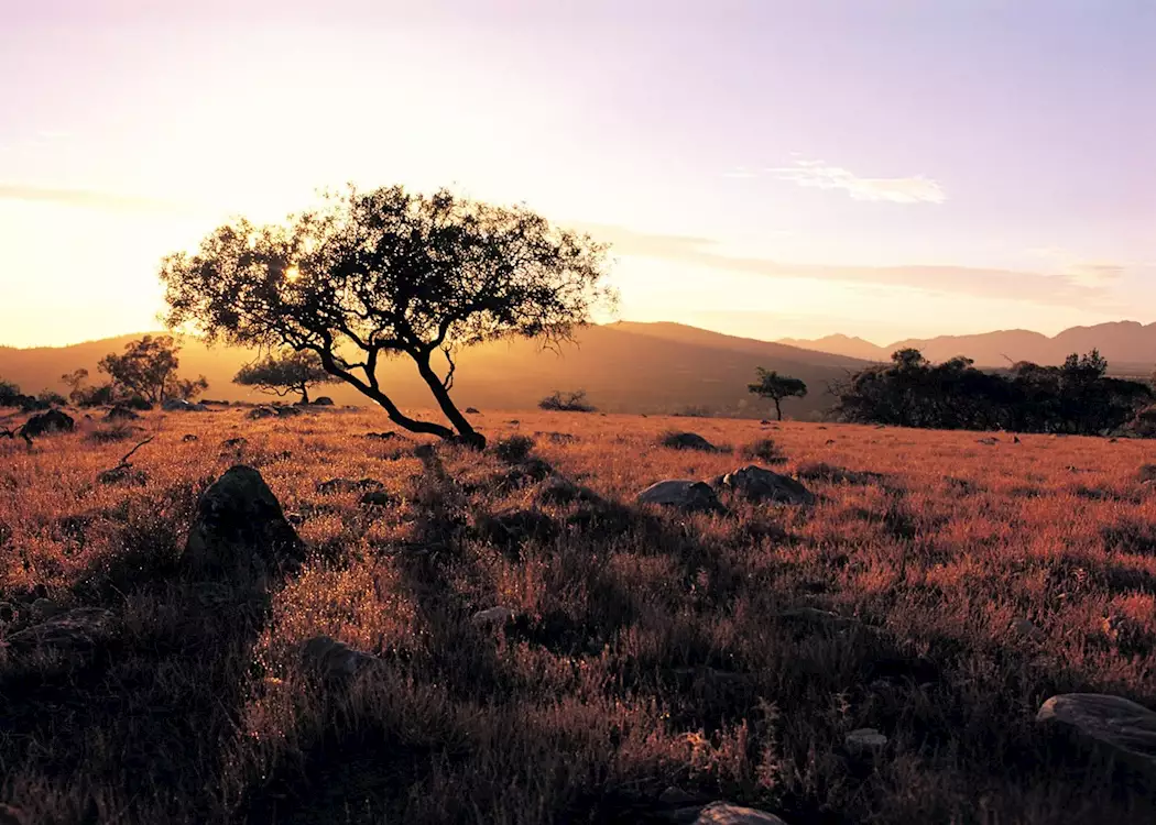Wilpena Pound Sunset, Flinders Ranges, South Australia