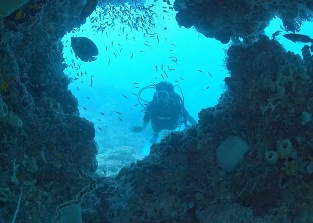 Diving on the Bazaruto reefs