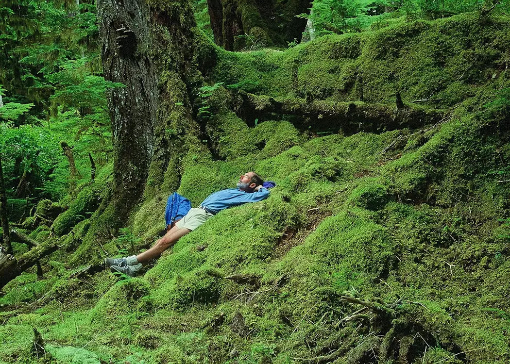 Haida Gwaii, old growth rainforest