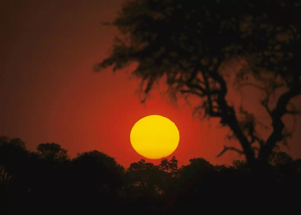 Sunset at Mudumu and Mamili National Park, Namibia