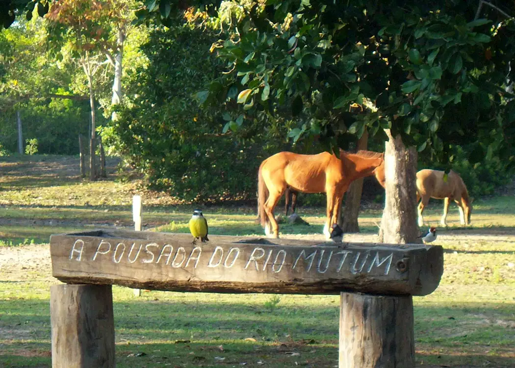 Pousada Rio Mutum, the Pantanal