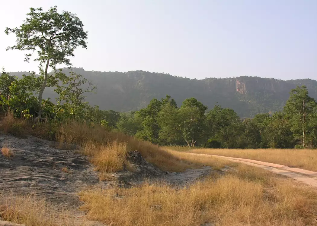 Bandhavgarh National Park, India