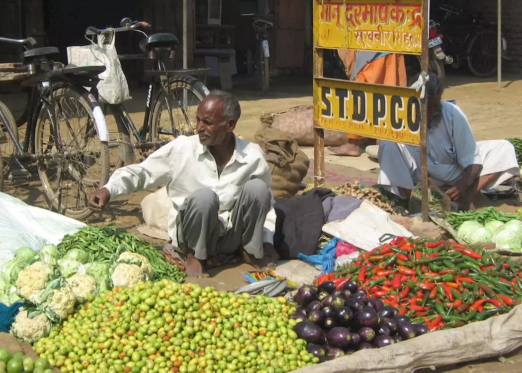 Vegetable seller, near Chambal Safari Lodge, India