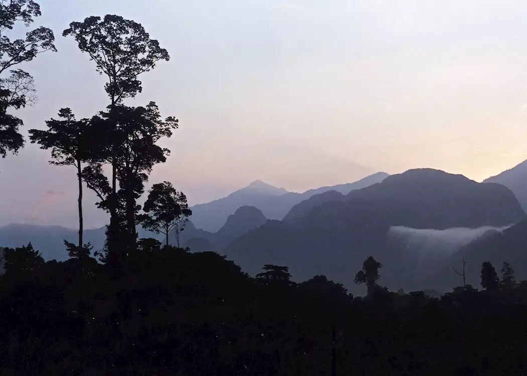 Dawn in Mulu National Park, Malaysian Borneo