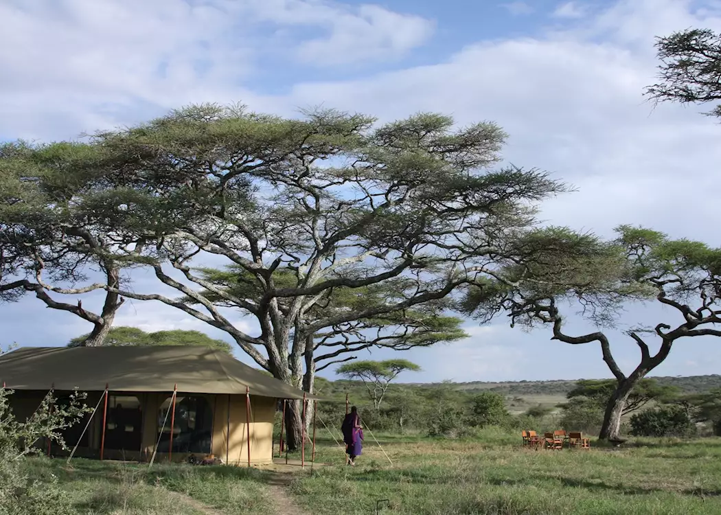 Lemala Ndutu Mobile Tented Camp, Serengeti National Park, Tanzania - 2023 /  2024