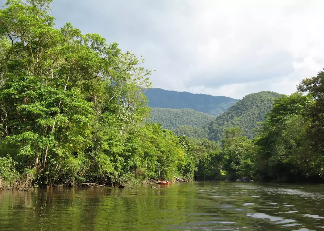 The Tutoh River winds through Mulu National Park