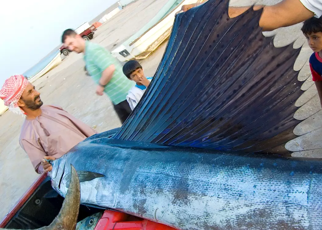Fishermen display their catch, Ras Al Jinz, Oman