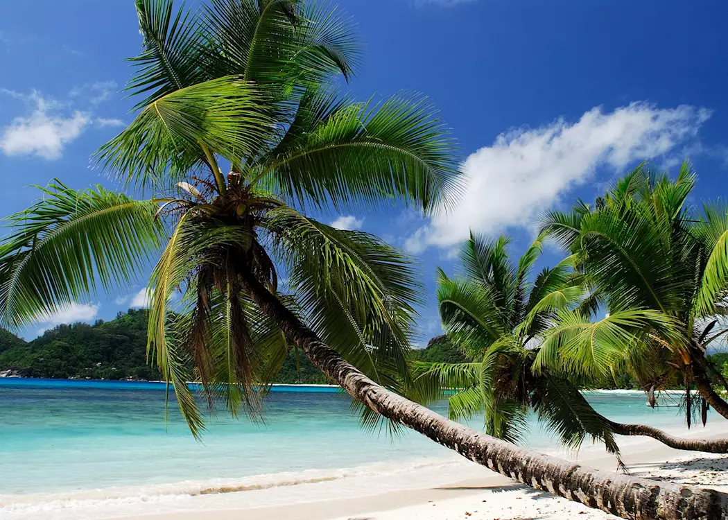 Seychellois beach