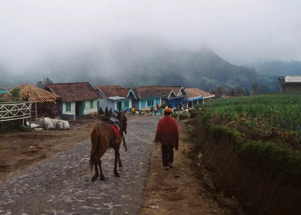 Village scene near Mount Bromo, Indonesia