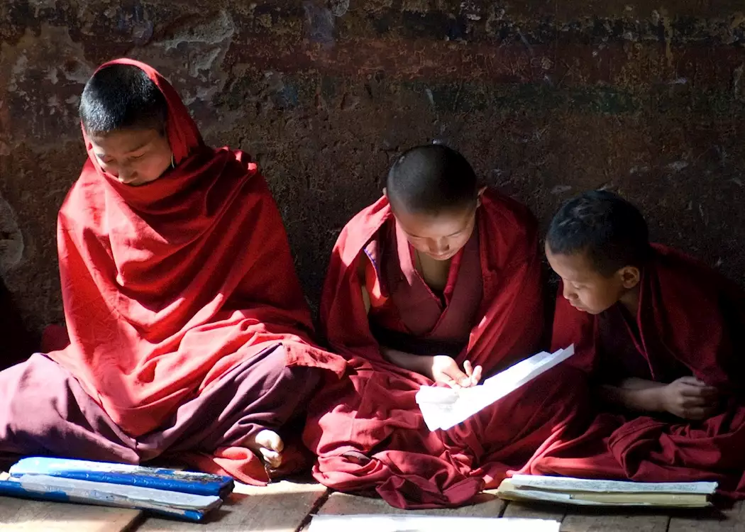 Monks studying, Punakha
