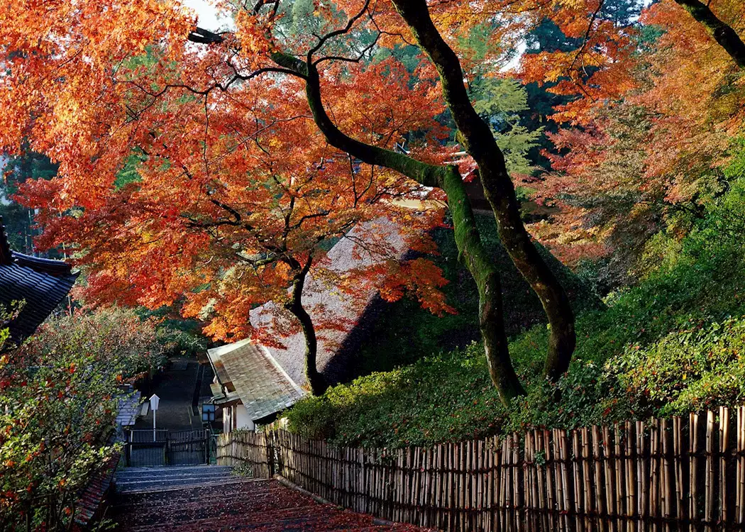Autumn colours, Kyoto