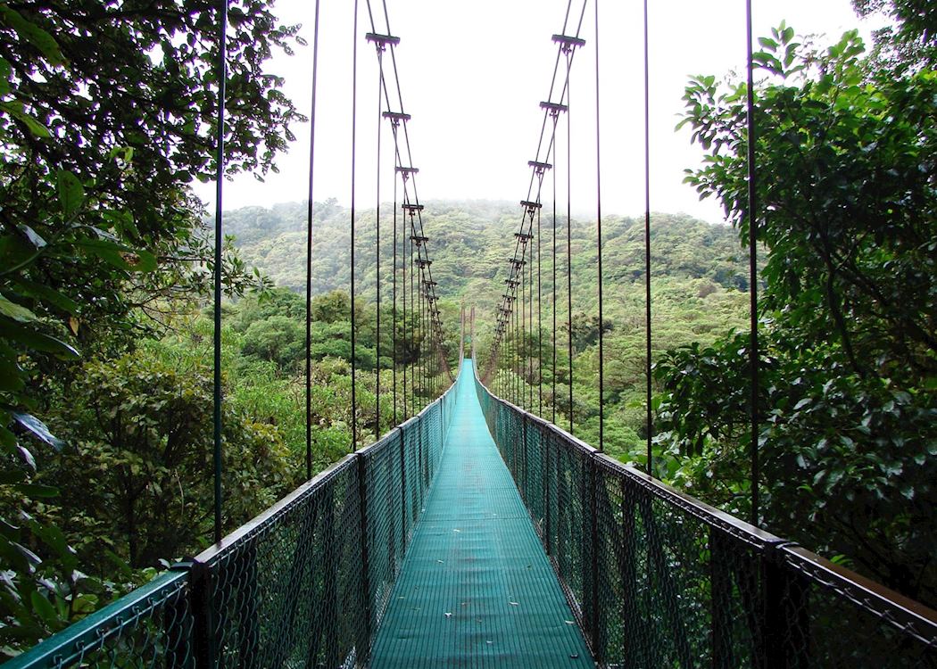 Selvatura Walkways and Canopy Zip-lining, Costa Rica | Audley Travel UK