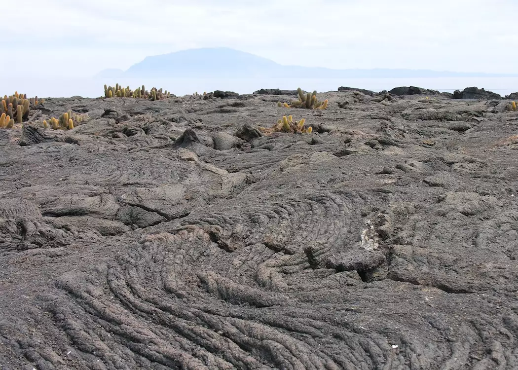 Lava flows and cacti, Galapagos Islands, Ecuador
