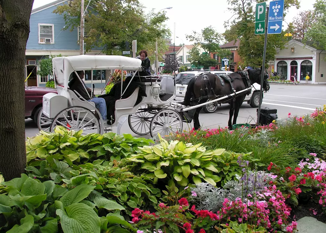Horse-drawn carriage rides in Niagara-on-the-Lake