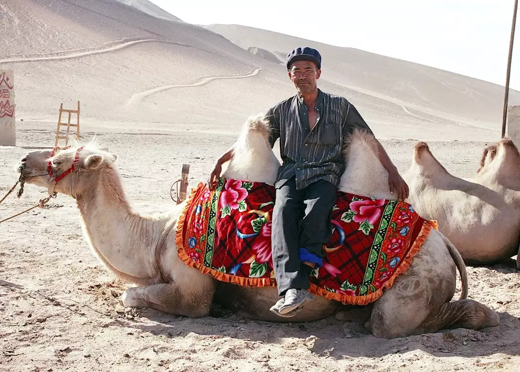 Camel Owner, Dunhuang