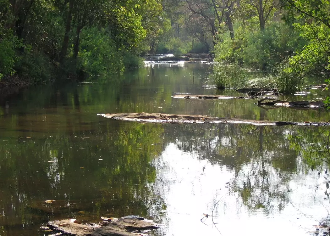 Lilongwe Nature Sanctuary, Malawi