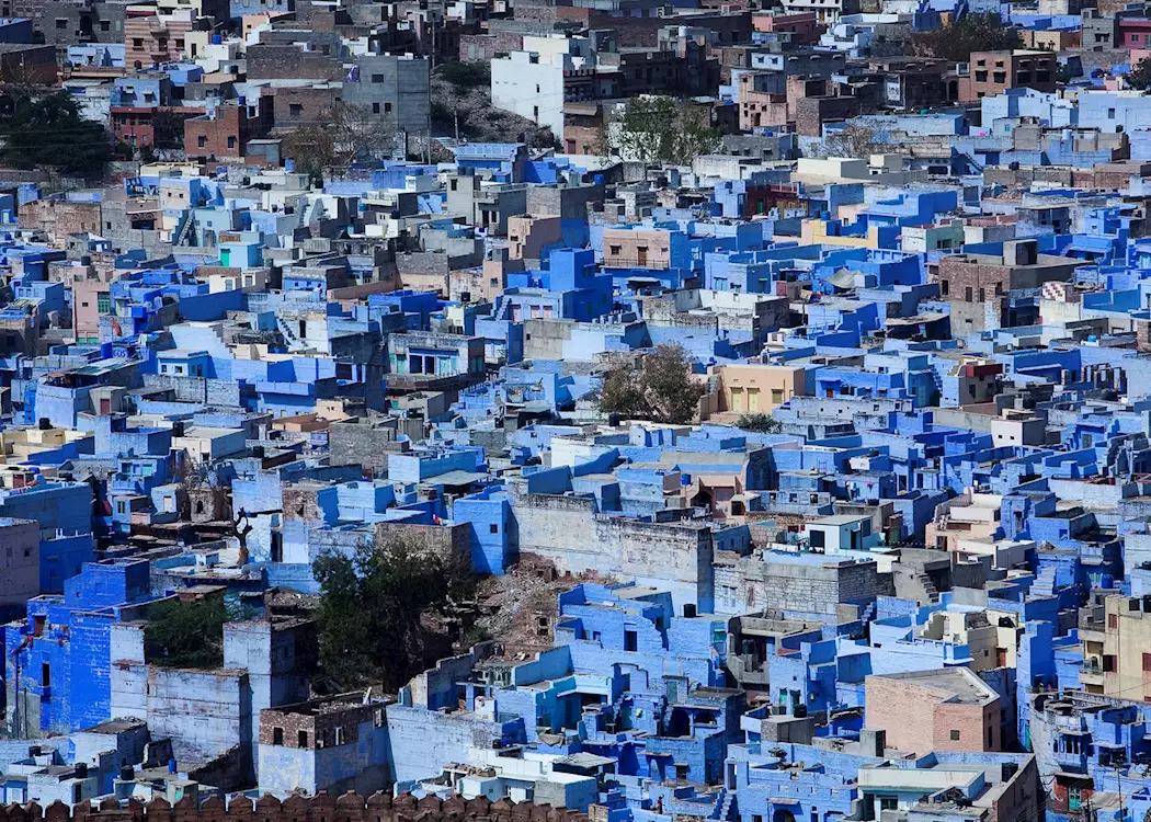 Blue houses of Jodhpur