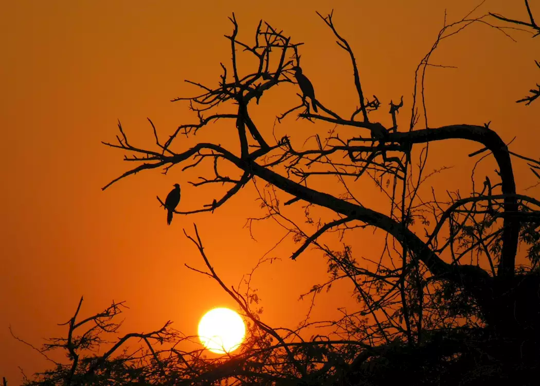 Bharatpur \u0026 Keoladeo Ghana National Park | Audley Travel US, image size:1050x750