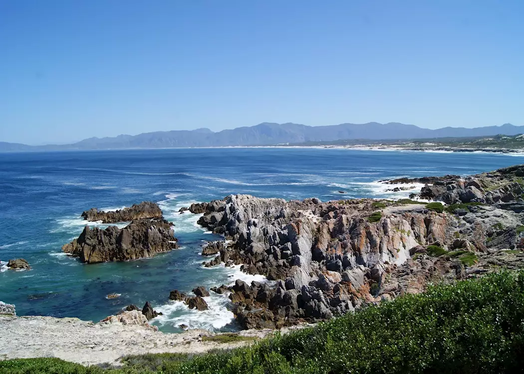 Best time to visit Hermanus