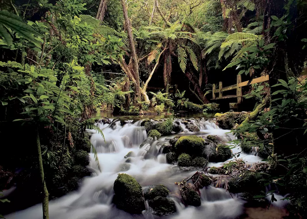 Rainbow Springs, Rotorua
