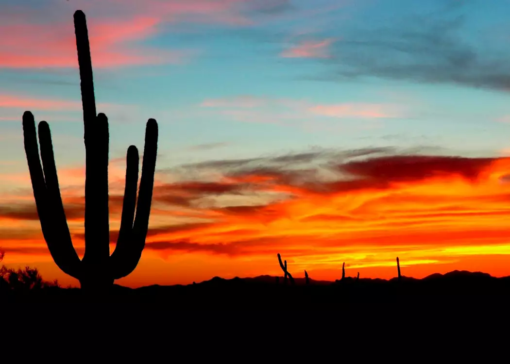 Desert sunset near Tucson