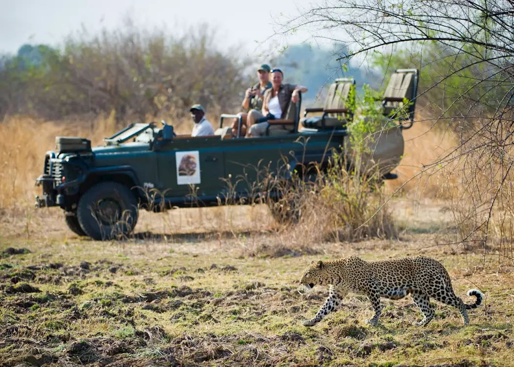 Game drive from Lion Camp