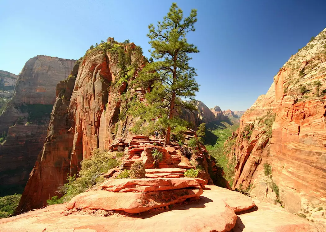 Angels Landing and Zion Canyon