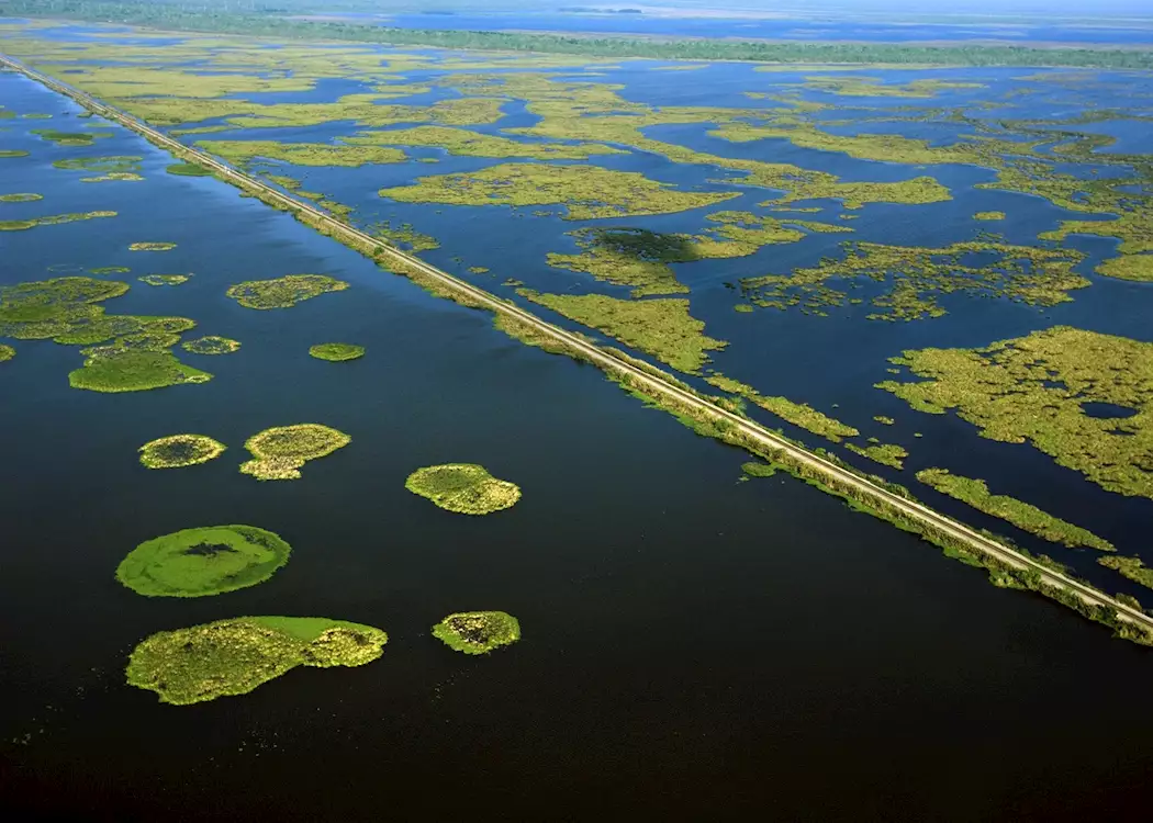 Aerial view of swamplands on the Mississippi River, Louisiana