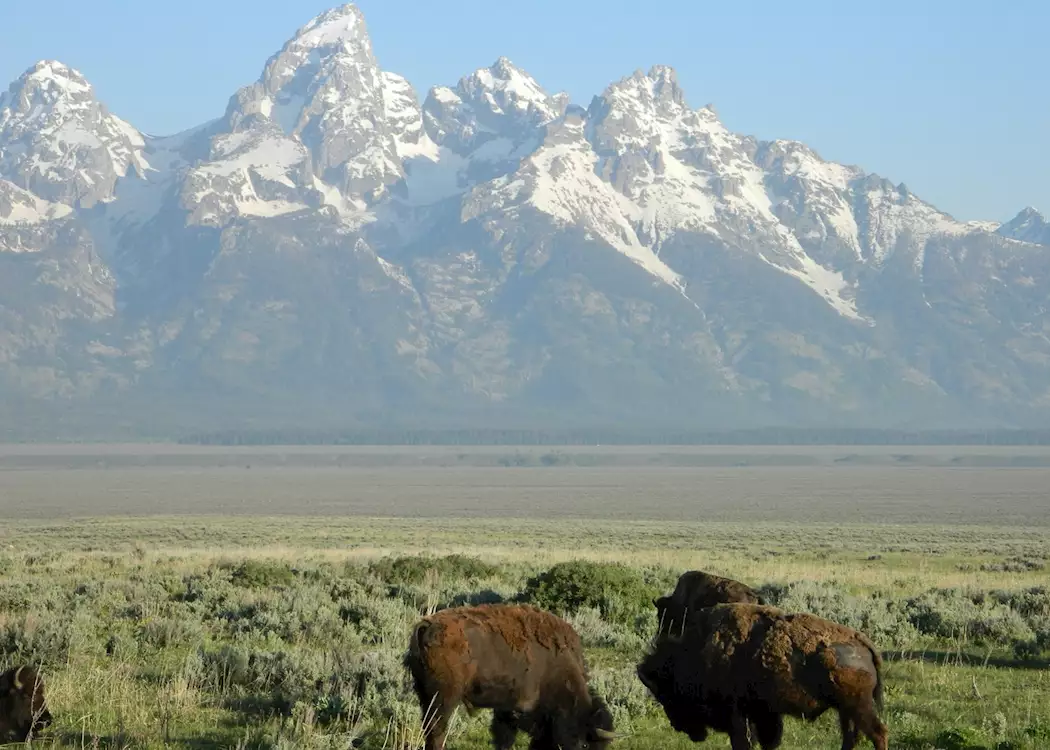 Jackson - Grand Teton National Park, USA