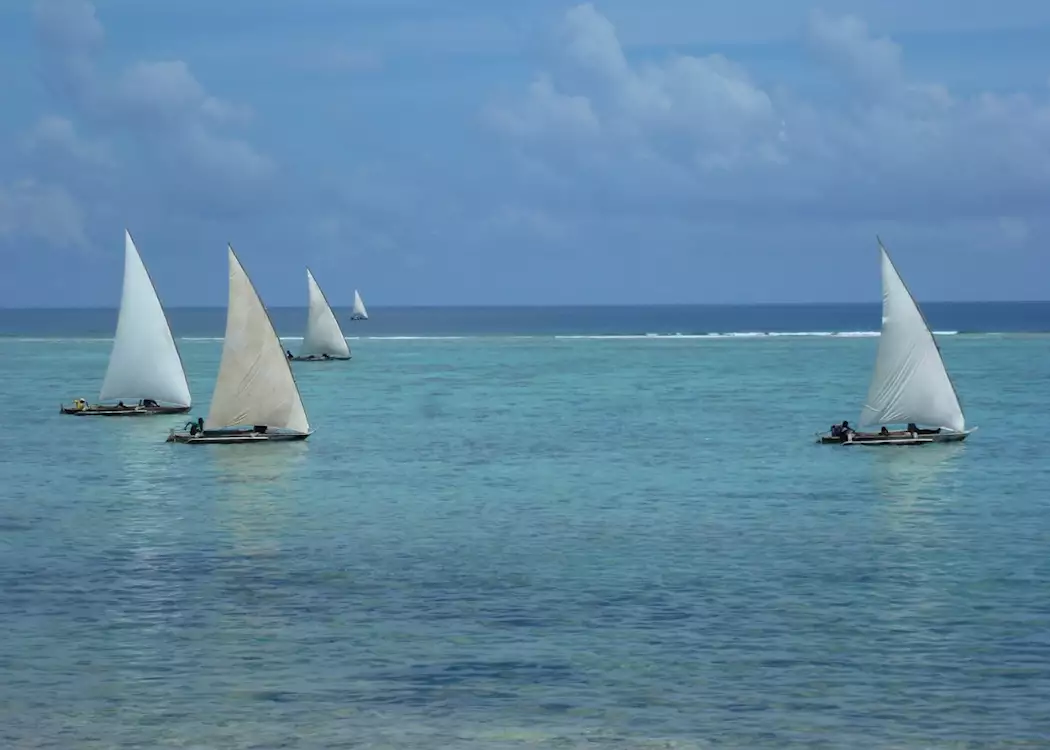 Dhows sailing off Zanzibar