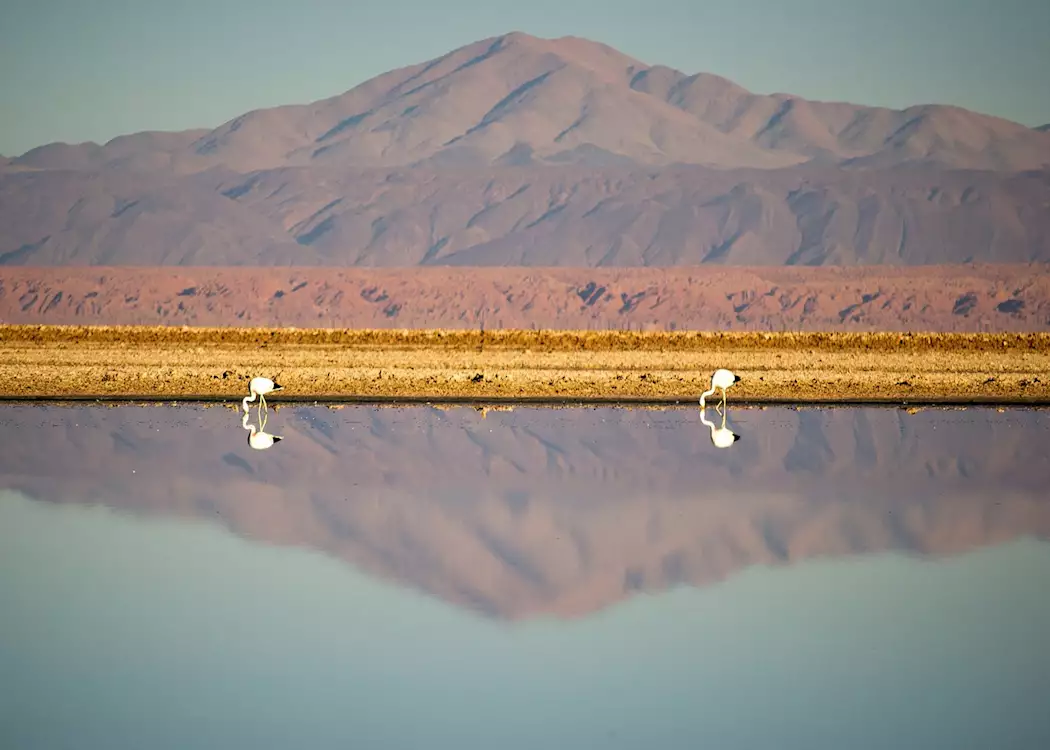 Altiplanic Lagoons, Atacama