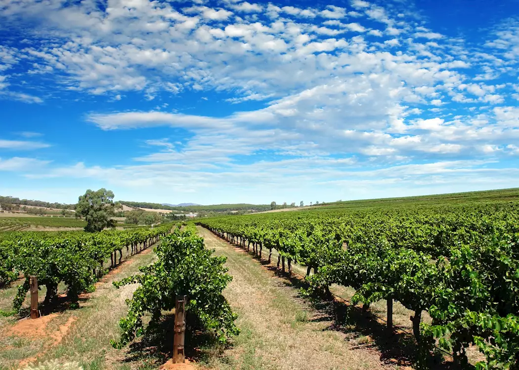 The Hunter Valley, New South Wales