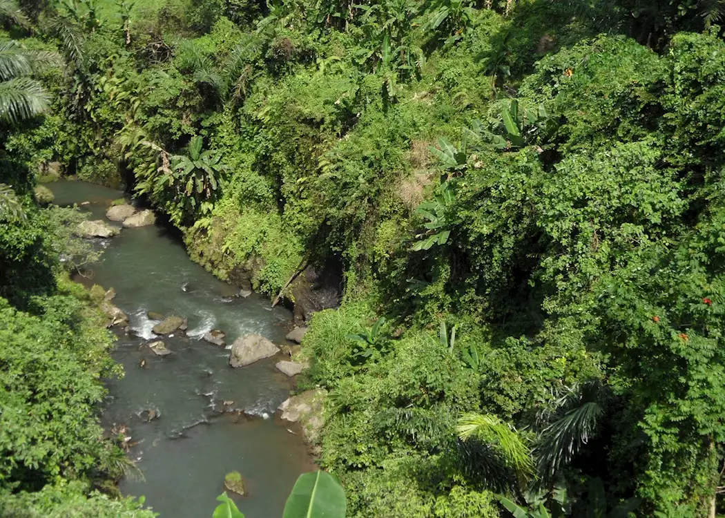 Ubud - Ayung River