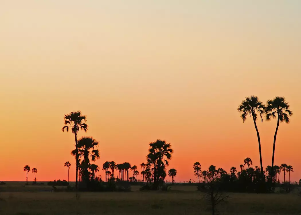 Sunset in the Makgadikgadi Pans