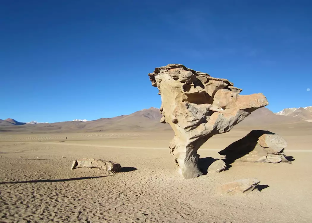 The tree stone, Bolivian altiplano