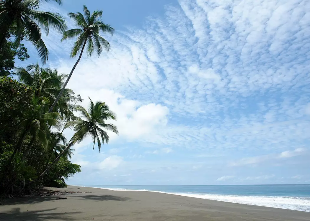 Beach, El Remanso Rainforest Wildlife Lodge 