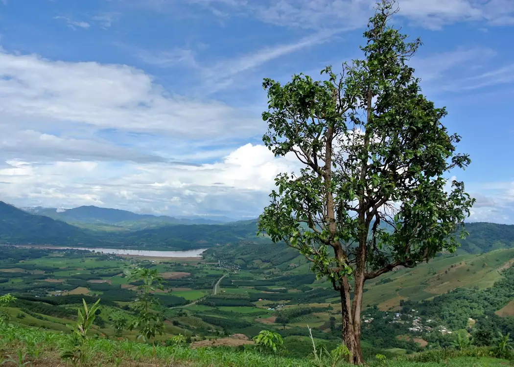 The view looking out over the Mekong, Chiang Khong, Thailand
