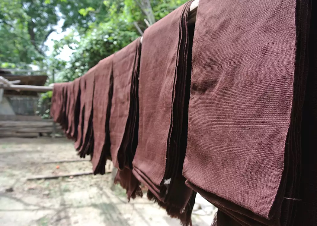 Drying cotton, Bagan, Burma (Myanmar)