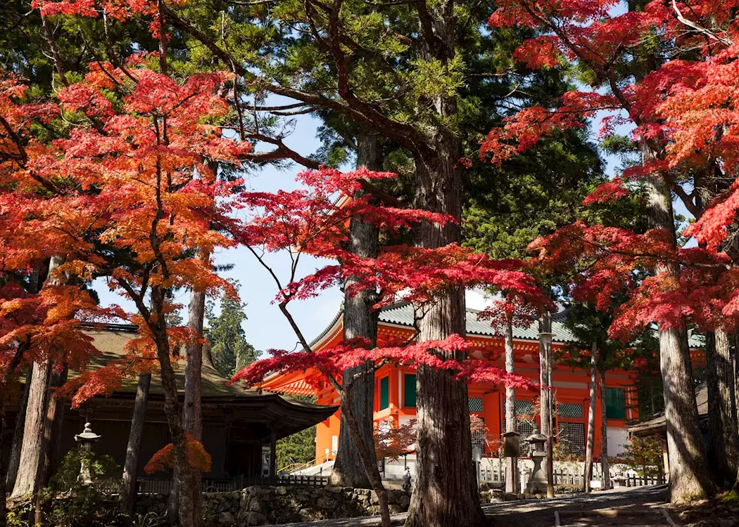 Pagoda and temples in the autumn foliage, Mount Koya