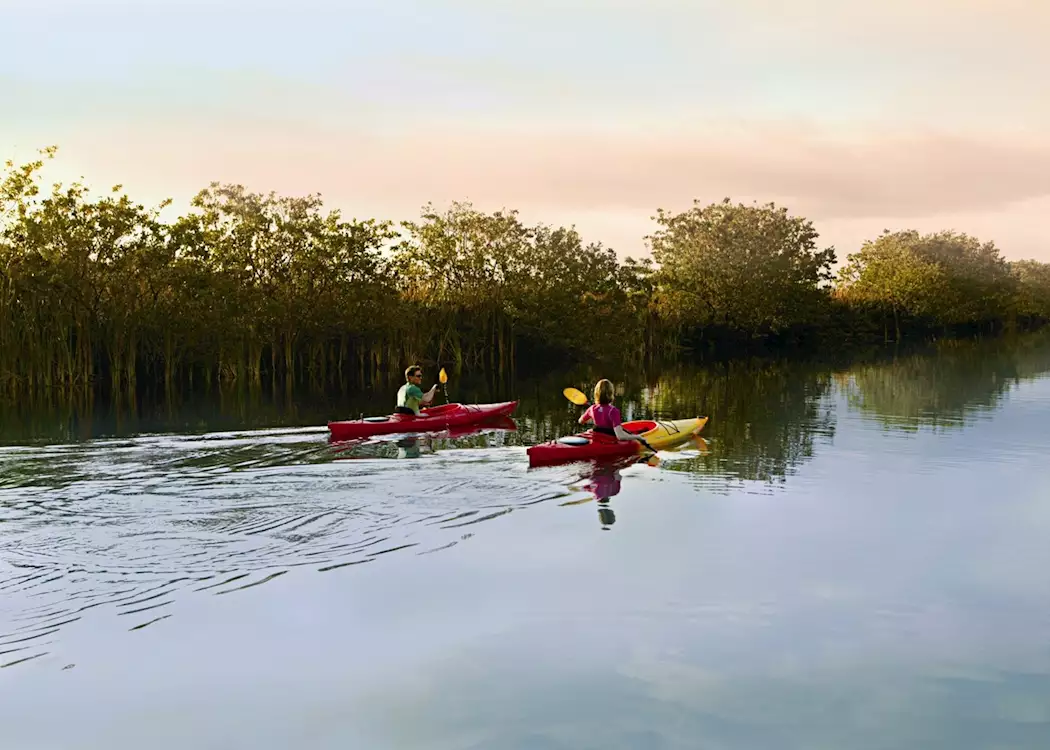 Kayaking in Everglades National Park, near Miami