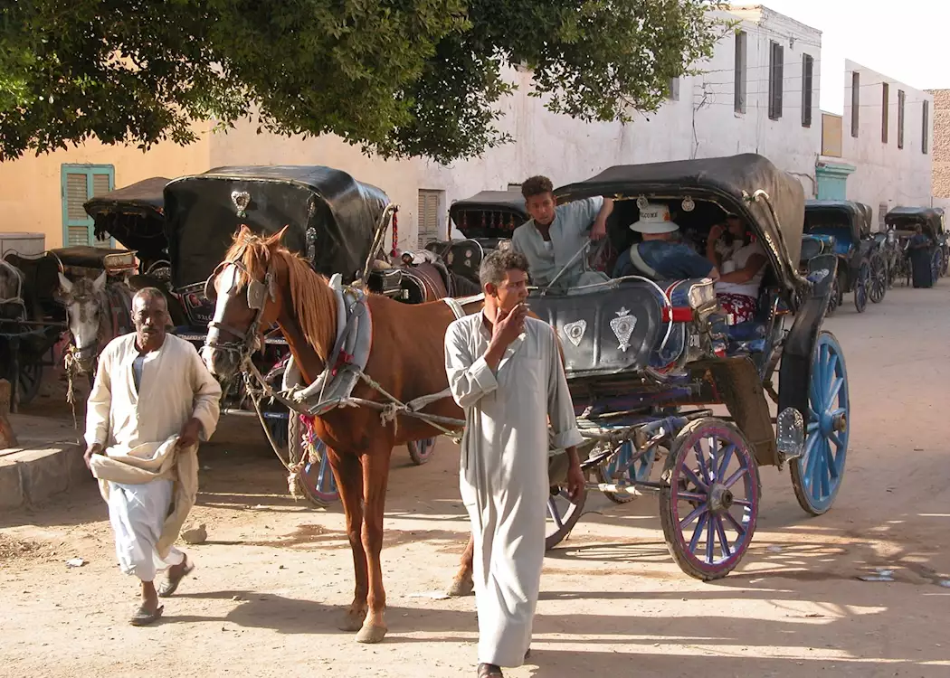 Horse and carriage near the Temple of Edfu, Egypt