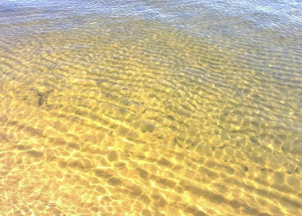 Shallow and clear ocean waters