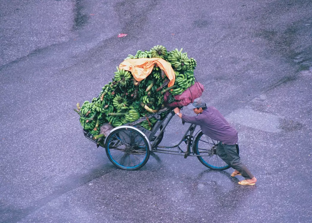 Bananas off to market in Saigon, Vietnam