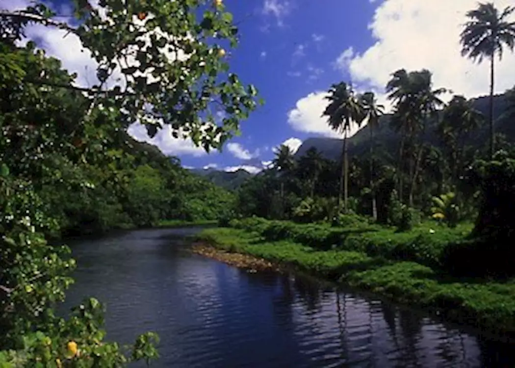 River on Tahiti