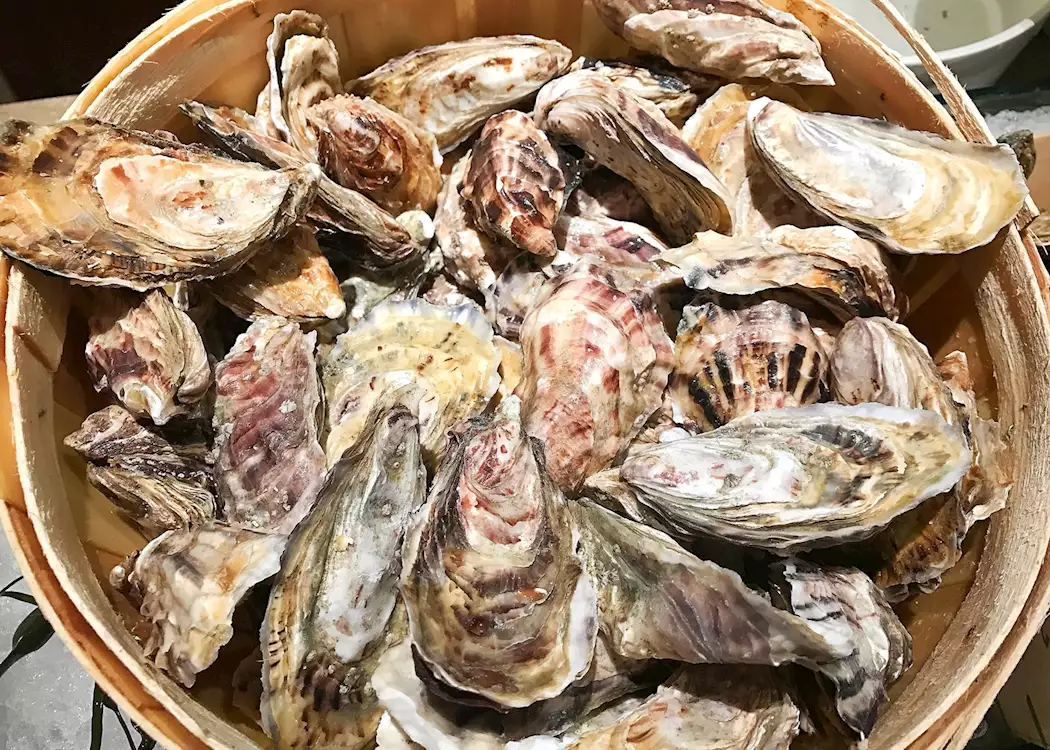 Fresh oysters, Bordeaux