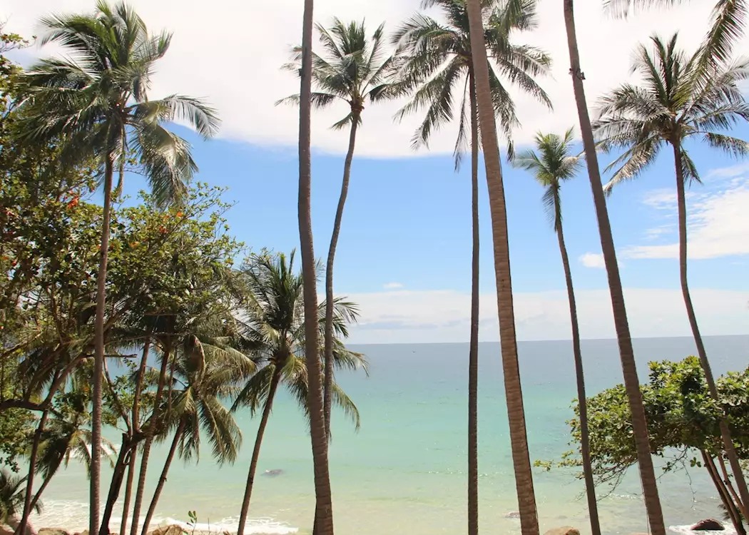Beach views and palm trees