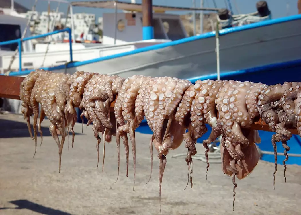 Octopus drying, Mykonos Town