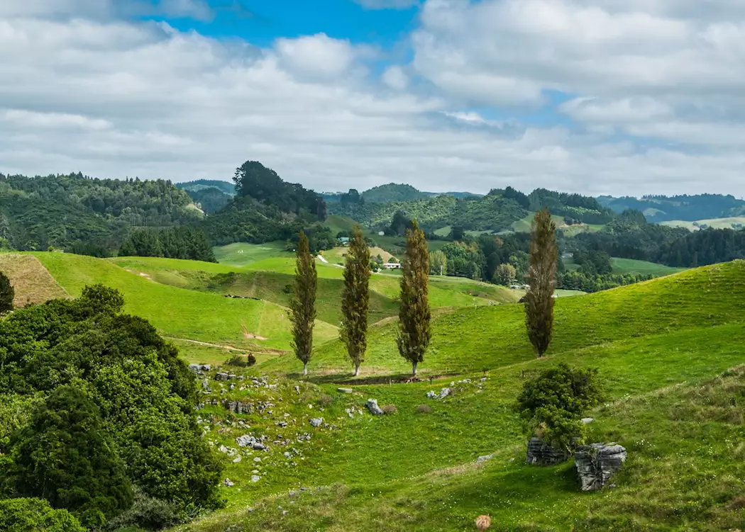 Waitomo Valley