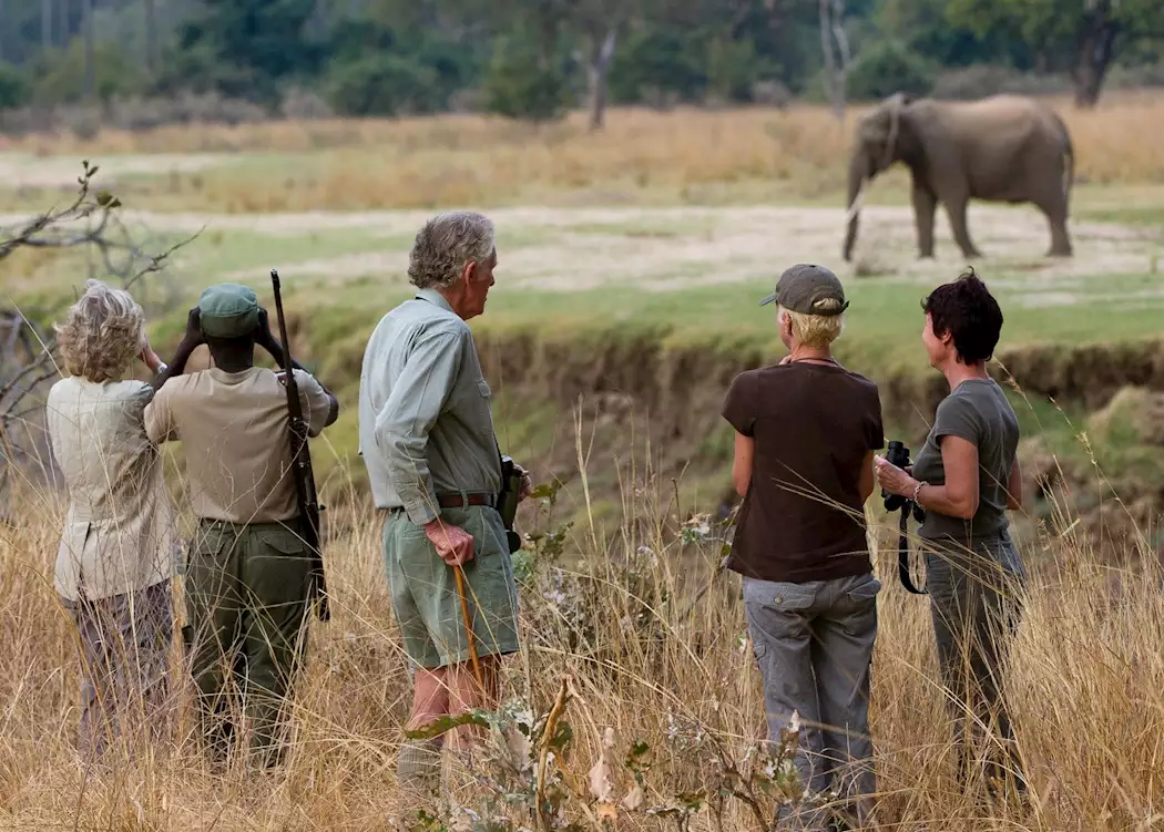 Walking safari with Phil Berry in the Luangwa Valley